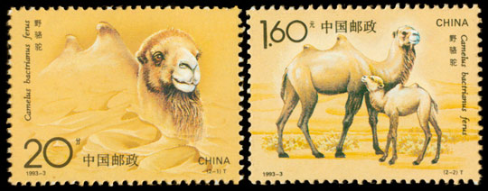1993-3《野骆驼》特种邮票 