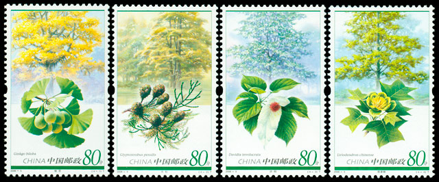 2006-5《孑遗植物》特种邮票